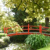 Ogrody Japońskie w Kildare